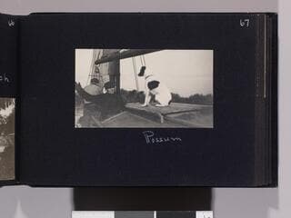 Go to image 69.