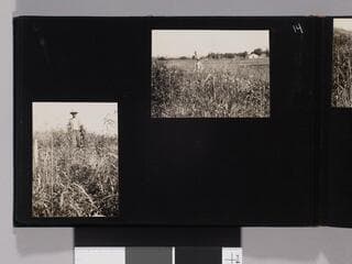 Go to image 16.