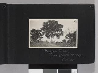 Go to image 13.