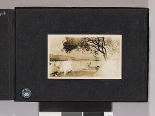 Go to image 105.