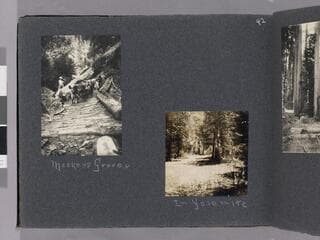 Go to image 44.