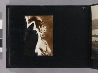 Go to image 84.