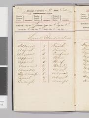 Go to image 10.