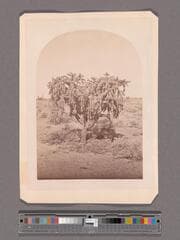 Go to image 1.