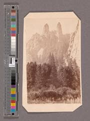 Go to image 1.