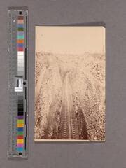 Go to image 1.