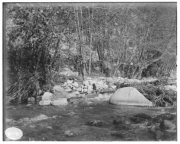 Probably Mill Creek