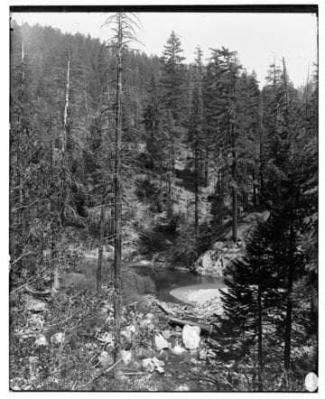 Big Creek Scenery