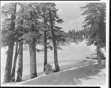 Big Creek Scenery