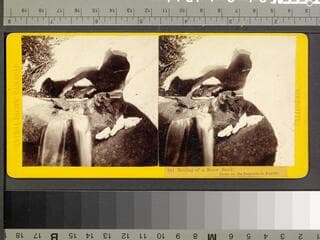 Go to image 1.