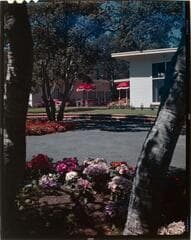 Go to image 6.