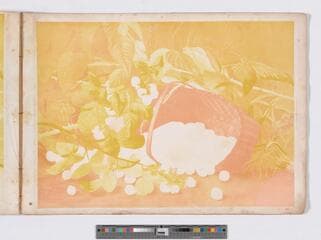 Go to image 4.