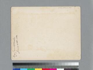 Go to image 2.