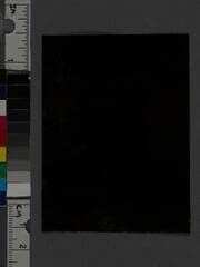 Go to image 2.