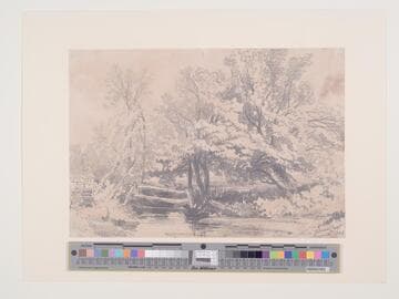 River Landscape
