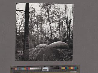 Go to image 7.