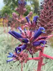 Go to image 2.