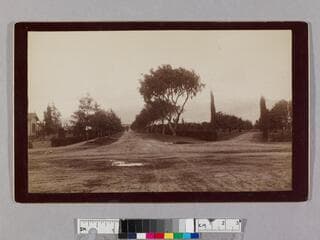 Go to image 1.