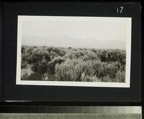 Go to image 19.