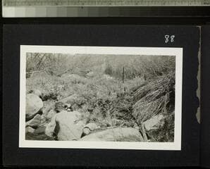 Go to image 90.