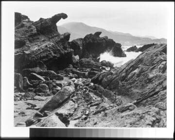 Point Lobos