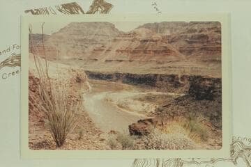 217 Mile Rapid