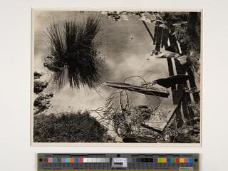 Go to image 1.