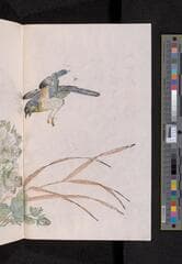 Go to image 286.
