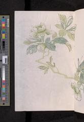 Go to image 281.