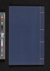 Go to image 291.