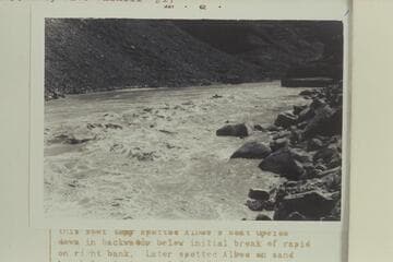 10-man inflated boat "Archean Traveler" with Charles Worth and Bob Gaskill aboard. Lower end of 24 Mile Rapid in Marble Canyon