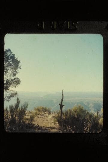 Shivwits, Lake Mead