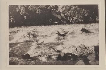 In the Grand Canyon. Sixth Rapid above Bass Trail--about Three Miles up