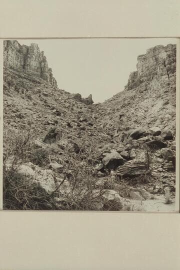 Graben on left bank and nearest the river in Red Lake Canyon. This graben would have permitted stock to reach the bottom of Red Lake Canyon and the river but no sign of any old trail was found. Red Lake Canyon also appears as Butler Canyon on some maps