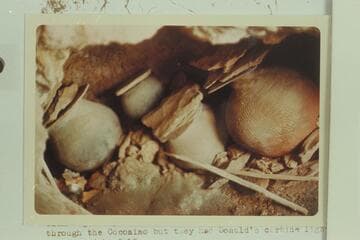 Pottery found by Don Davis opposite bridge in Lava Creek. " Taken at an angle while pressed into a hole in the ceiling left of entrance passage. Shows more of the cave."