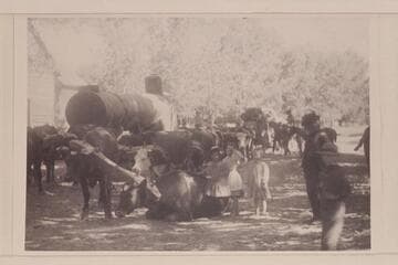Resting the cattle at either Tropic or Cannonville. Hauling boilers and pumps to Lees Ferry
