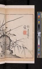 Go to image 118.
