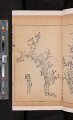 Go to image 111.