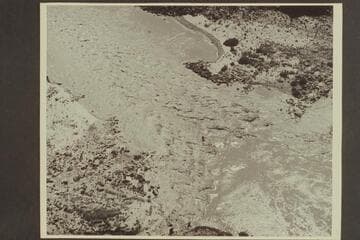Badger Creek Rapids