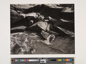 Point Lobos