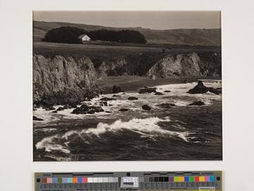 Bodega Coast