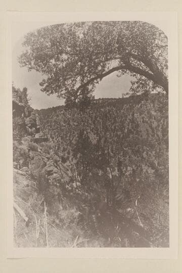 From a stereo: No. 21: "Views on the Green River," Red Canon Series; Francis Creek