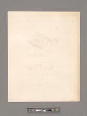 Go to image 6.