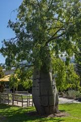 Go to image 1.