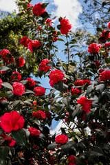 Go to image 1.
