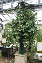 Go to image 2.