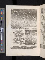 Go to image 422.