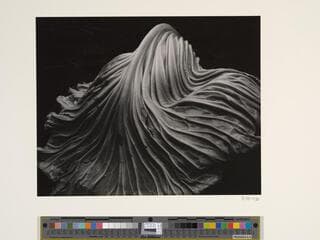 Go to image 1.
