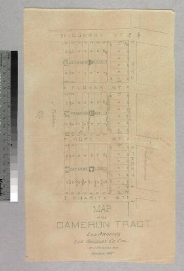 Cameron Tract