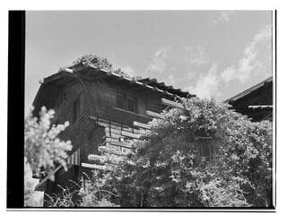 Go to image 1.